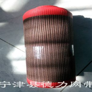 特氟龍網帶_金屬網帶特氟龍網帶輸送帶質量保證
