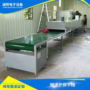 帶式輸送機_直銷供應高溫隧道爐烘干流水線噴油流水線帶式加工定制