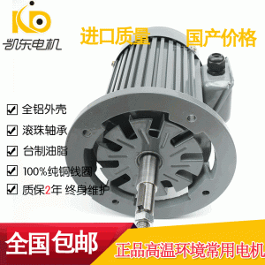 耐高溫電機_電機廠家直銷耐高溫電機隧道式烘干爐設備電機250度高溫