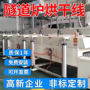 深圳定制隧道固化爐復合新材料隧道爐烘干線絲印隧道爐生產廠家